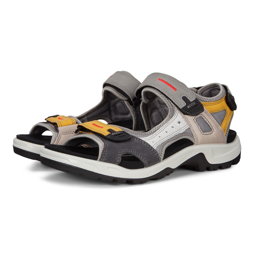 Sandalias Hombre - ECCO Anniversary Yucatan - Multicolor - ZYS632187